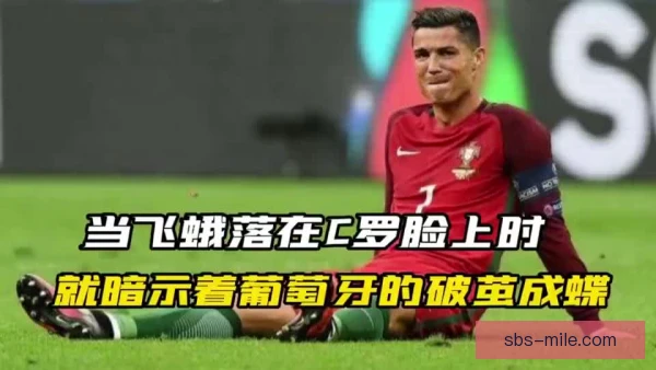 飞蛾落在C罗脸上：2016年欧洲杯决赛赛场的意外插曲